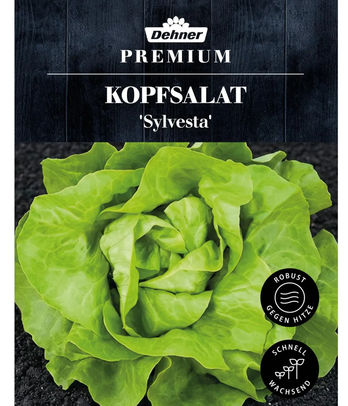Dehner Premium Samen Kopfsalat 'Sylvesta'