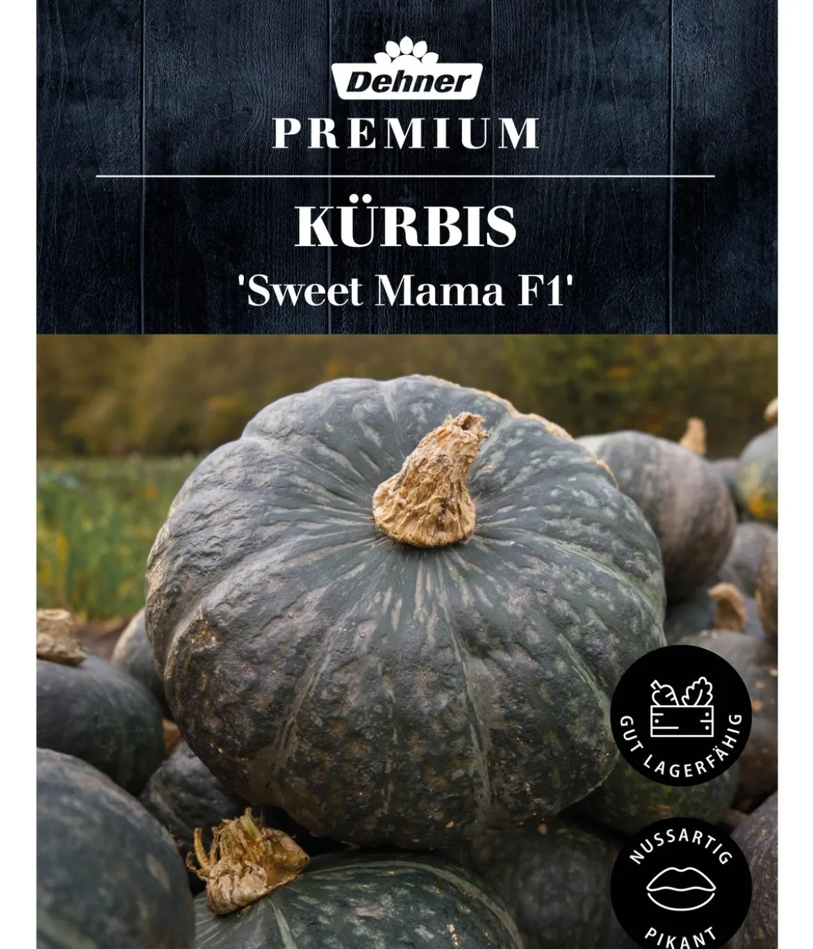 Dehner Premium Samen Kürbis 'Sweet Mama F1'