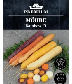 Dehner Premium Samen Möhre 'Rainbow F1'