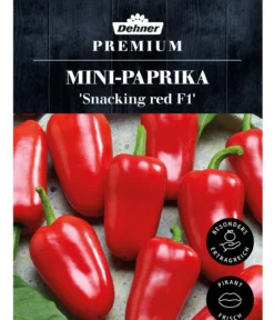 Dehner Premium Samen Mini-Paprika 'Snacking red F1'
