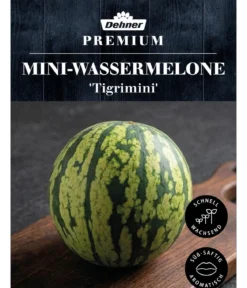 Dehner Premium Samen Mini-Wassermelone 'Tigrimini'