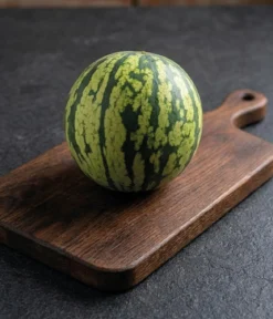 Dehner Premium Samen Mini-Wassermelone 'Tigrimini'