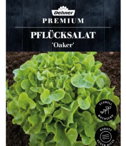 Dehner Premium Samen Pflücksalat 'Oaker'