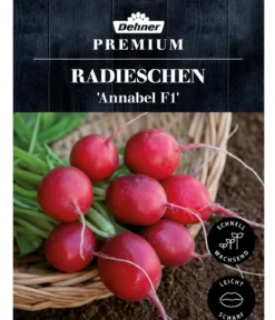 Dehner Premium Samen Radieschen 'Annabel F1'