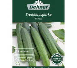 Dehner Premium Samen Treibhausgurke 'Euphya'