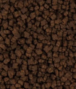 Dehner Premium Trockenfutter für Katzen Kitten, Huhn