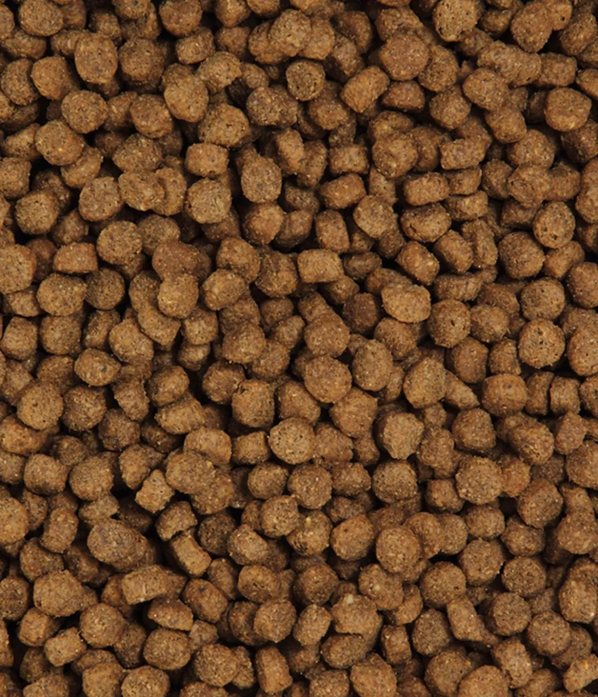 Dehner Premium Trockenfutter für Katzen Light Senior, Geflügel