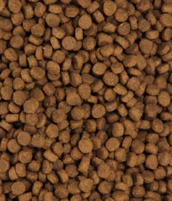 Dehner Premium Trockenfutter für Katzen Adult