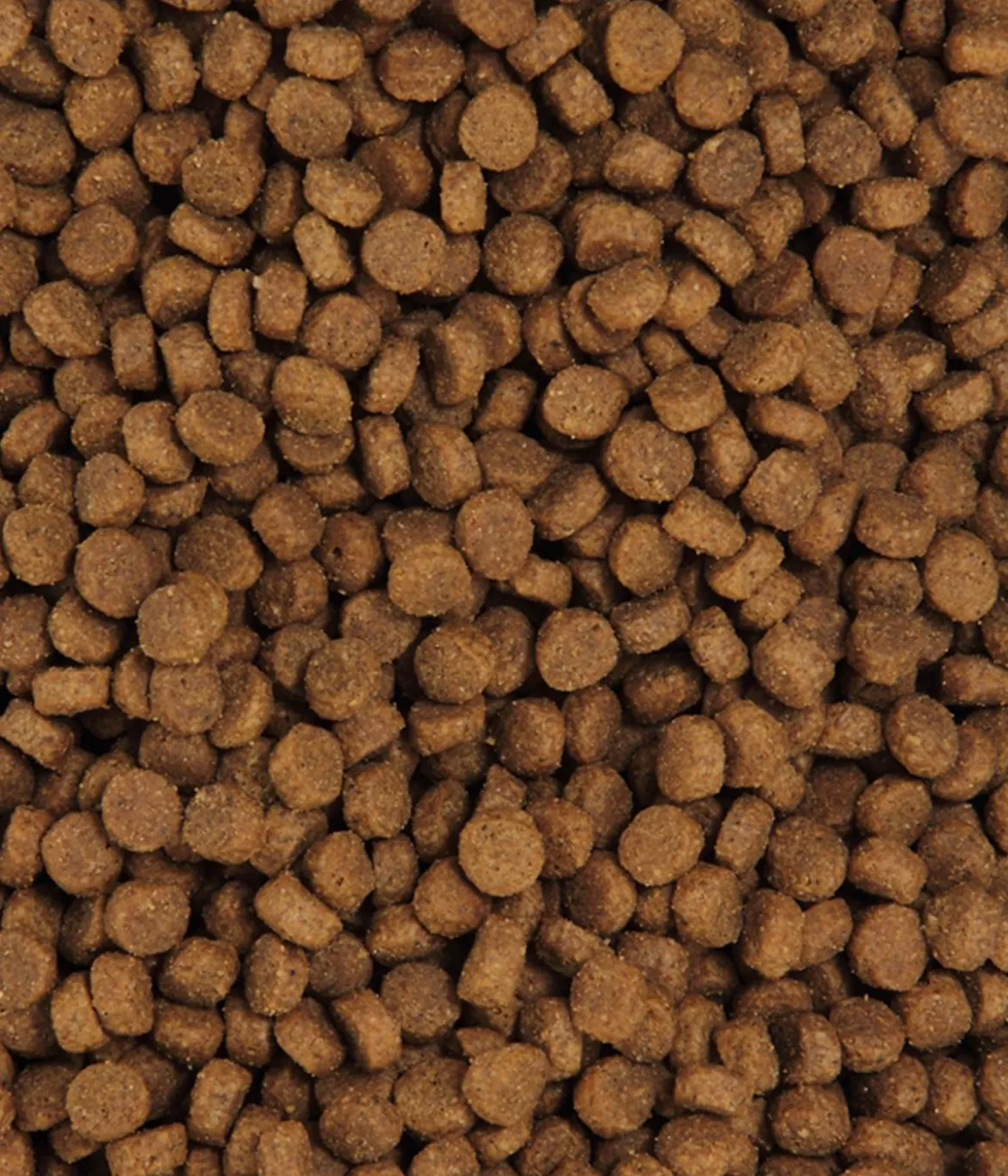 Dehner Premium Trockenfutter für Katzen Adult