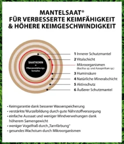 Dehner Rasen Verti-Kur