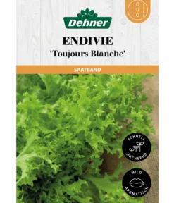 Dehner Saatband Endivie 'Toujours Blanche', L5 m
