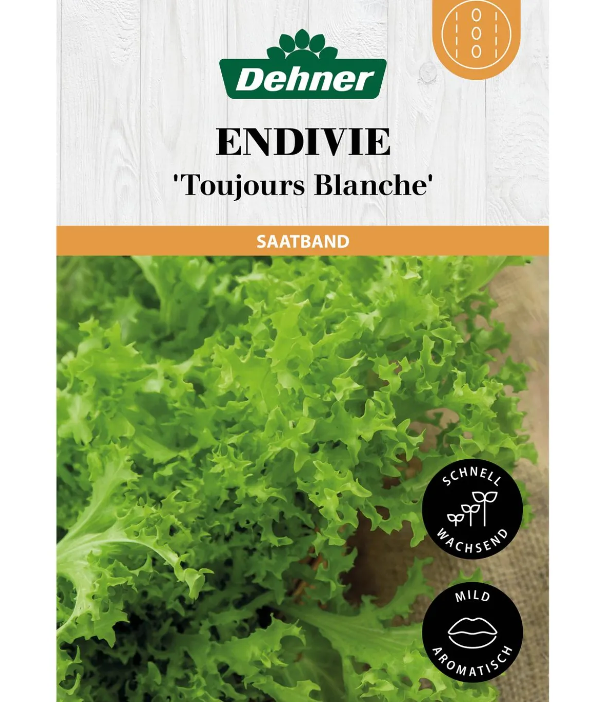 Dehner Saatband Endivie 'Toujours Blanche', L5 m