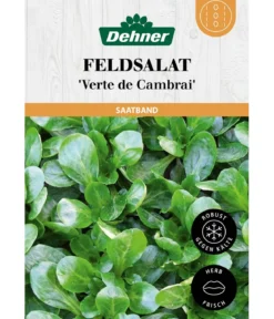 Dehner Saatband Feldsalat 'Verte de Cambrai', L5 m