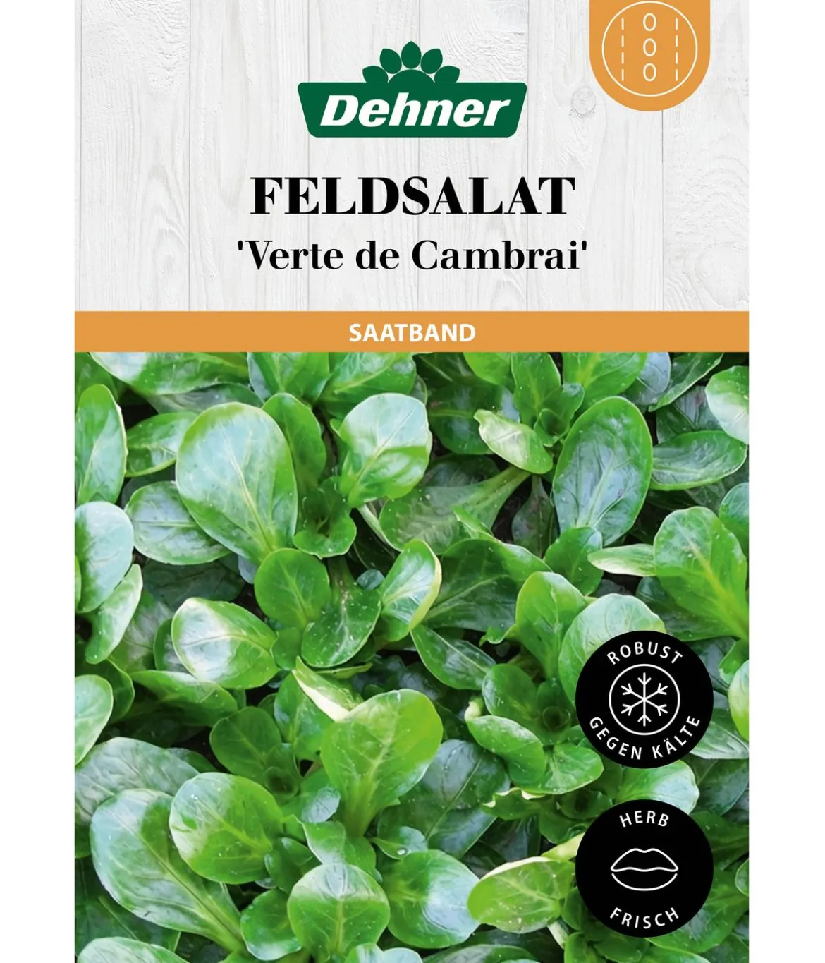 Dehner Saatband Feldsalat 'Verte de Cambrai', L5 m