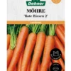 Dehner Saatband Möhre 'Rote Riesen 2', L5 m