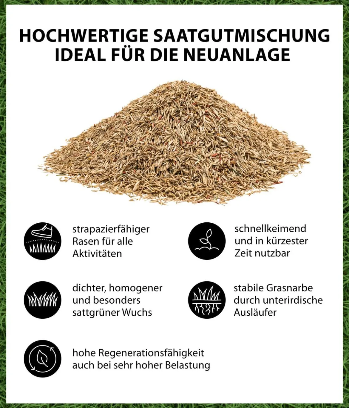 Dehner Saatgut Spiel- und Sportrasen