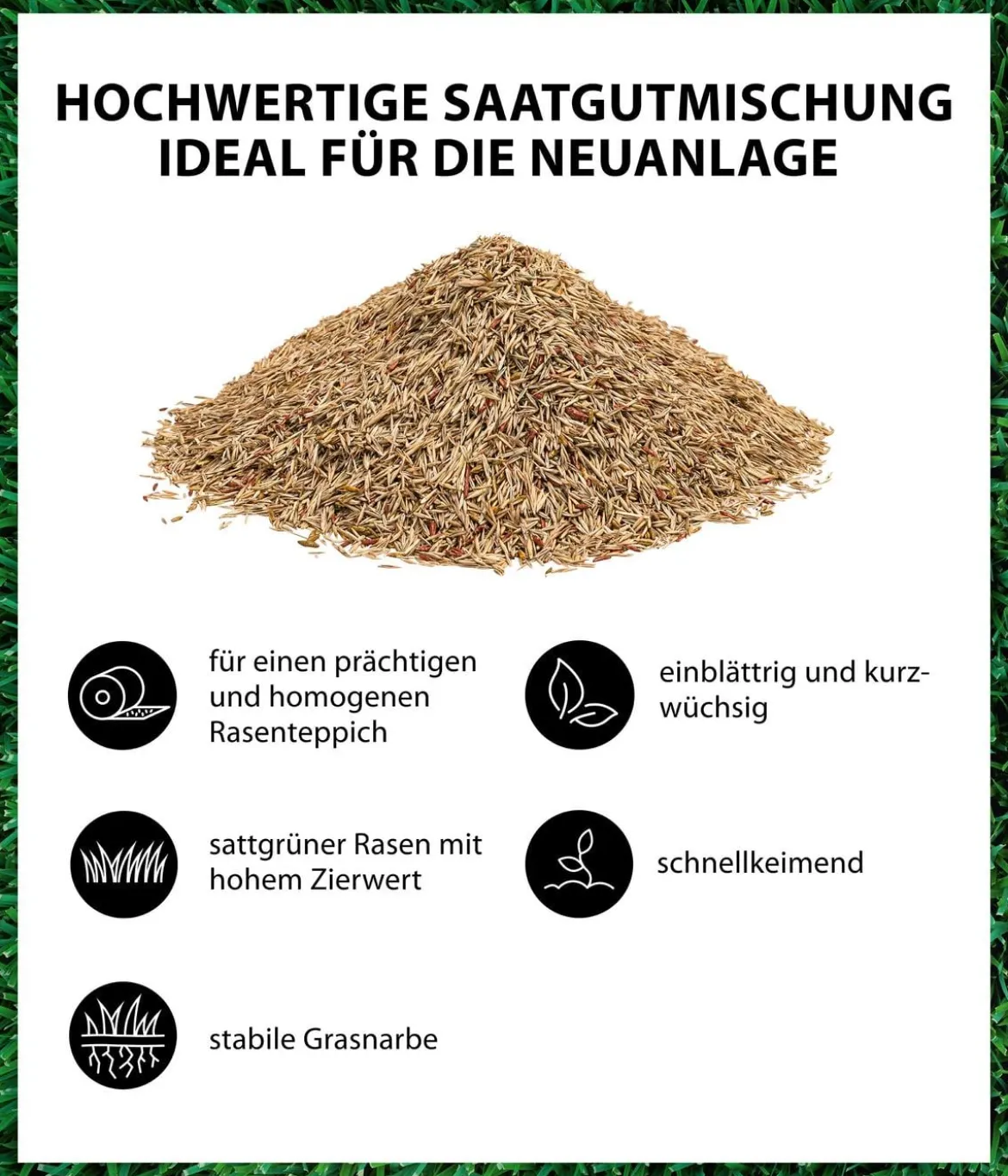 Dehner Saatgut Traumrasen