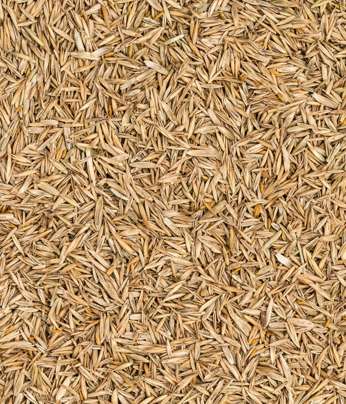 Dehner Saatgut Universalrasen, 500 g