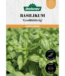 Dehner Saatscheiben Basilikum 'Großblättrig', 3 Stück à Ø 8 cm