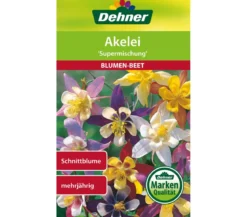 Dehner Samen Akelei 'Supermischung'