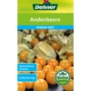 Dehner Samen Andenbeere