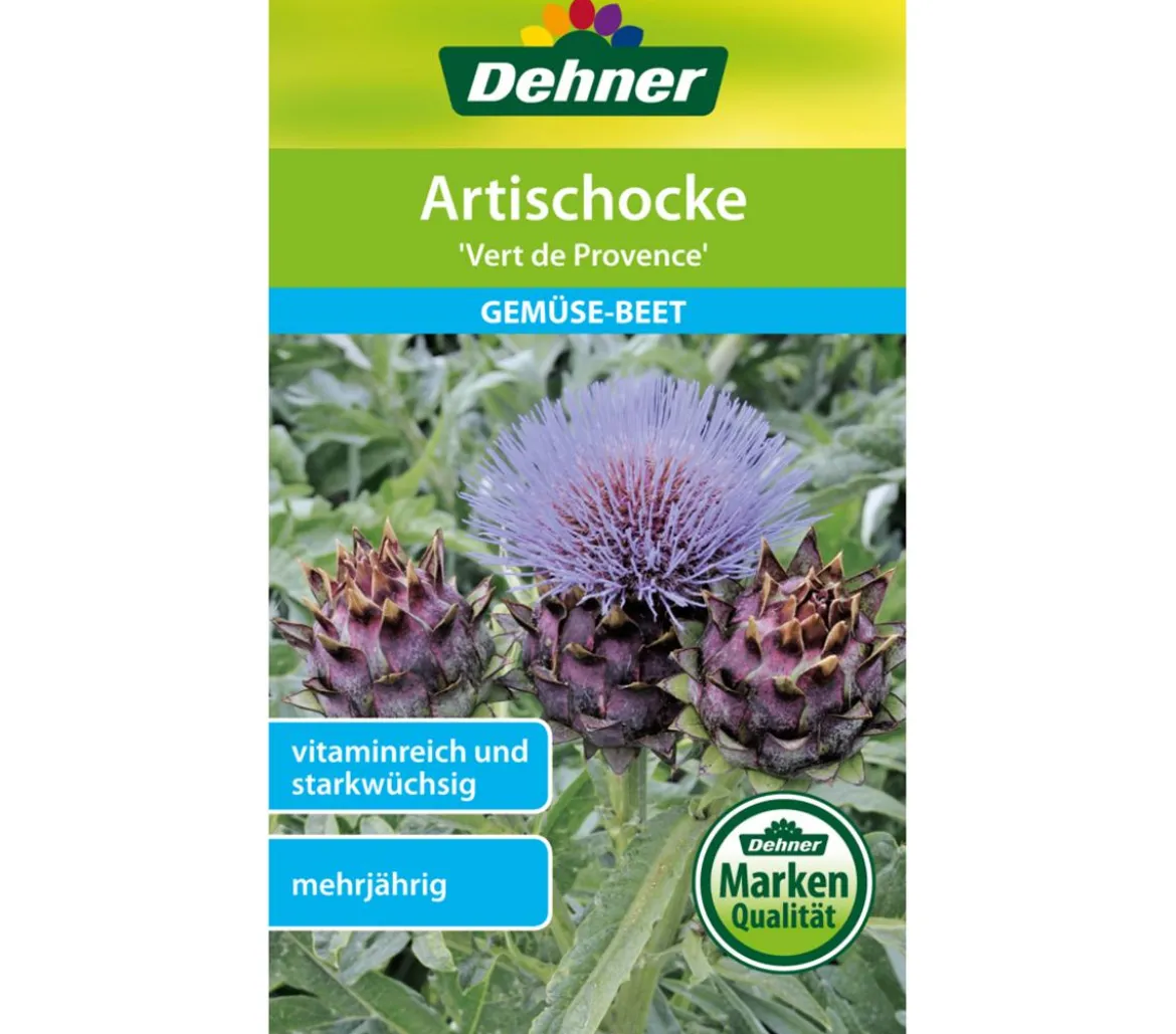 Dehner Samen Artischocke 'Vert de Provence'