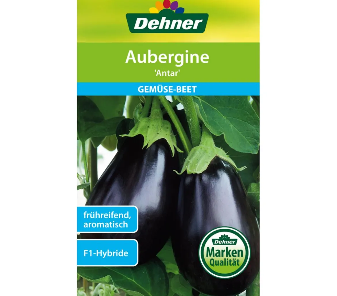 Dehner Samen Aubergine 'Antar'
