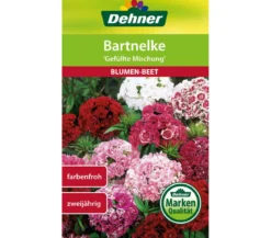 Dehner Samen Bartnelke 'Gefüllte Prachtmischung'