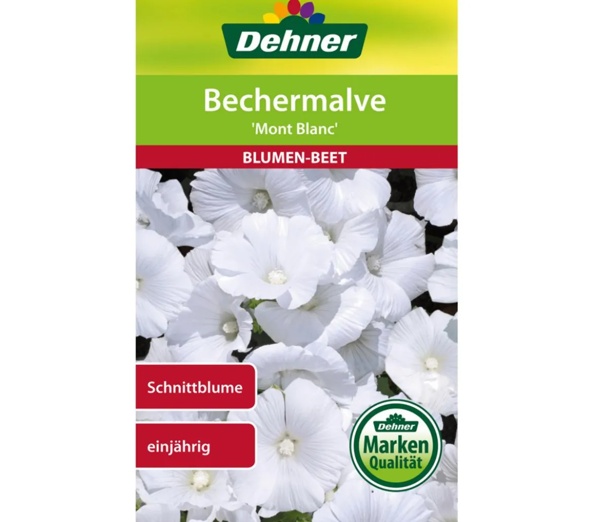 Dehner Samen Bechermalve 'Mont Blanc'