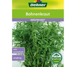 Dehner Samen Bohnenkraut