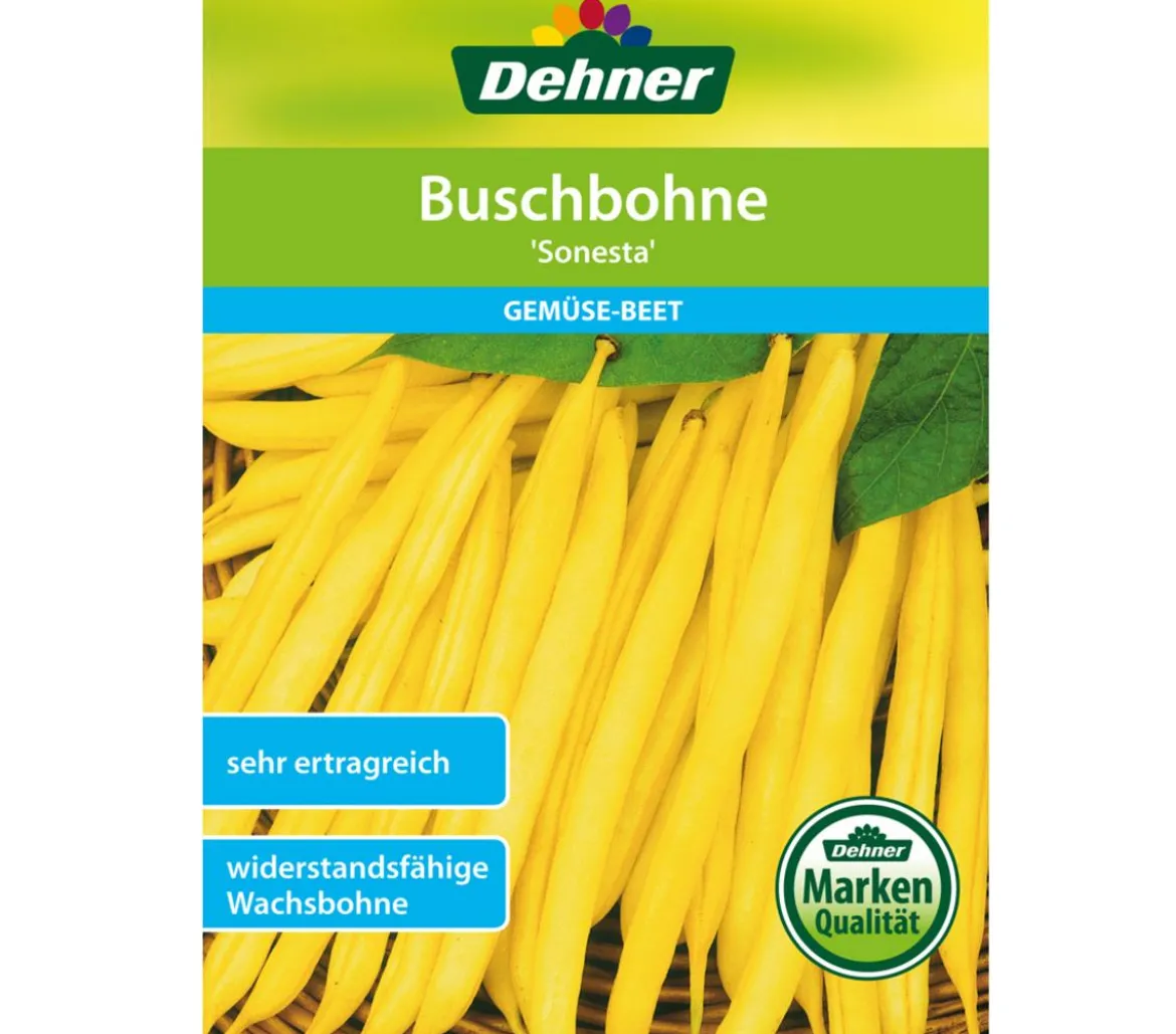 Dehner Samen Buschbohne 'Sonesta'