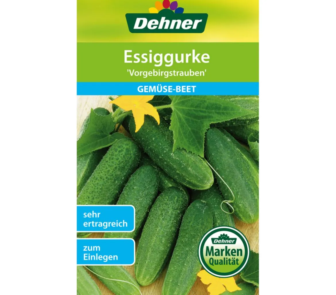 Dehner Samen Essiggurke 'Vorgebirgstrauben'