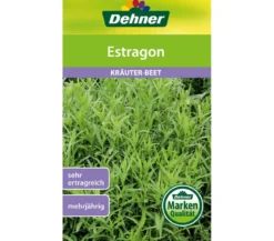 Dehner Samen Estragon