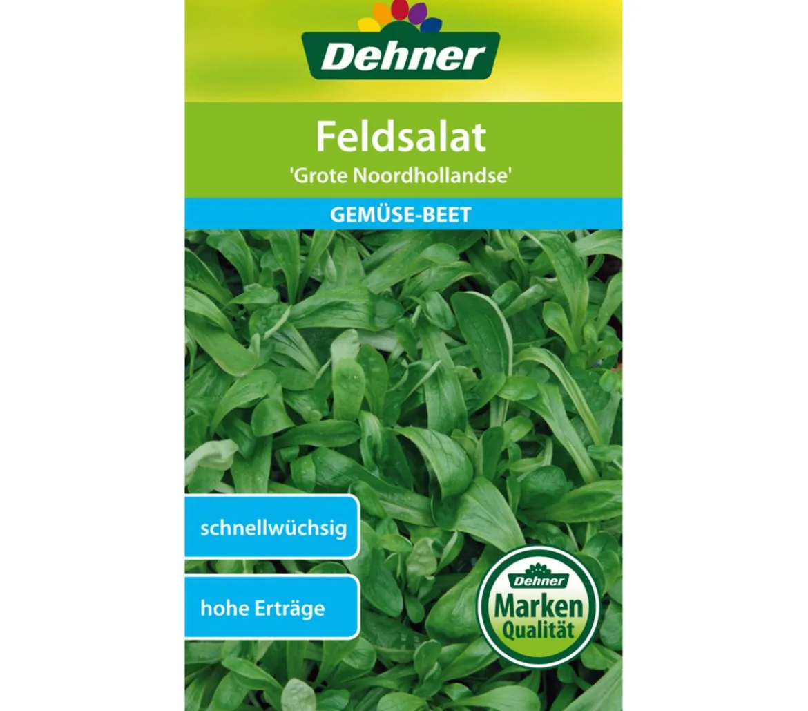 Dehner Samen Feldsalat 'Grote Noordhollandse'