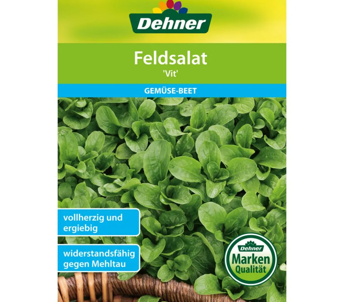 Dehner Samen Feldsalat 'Vit'