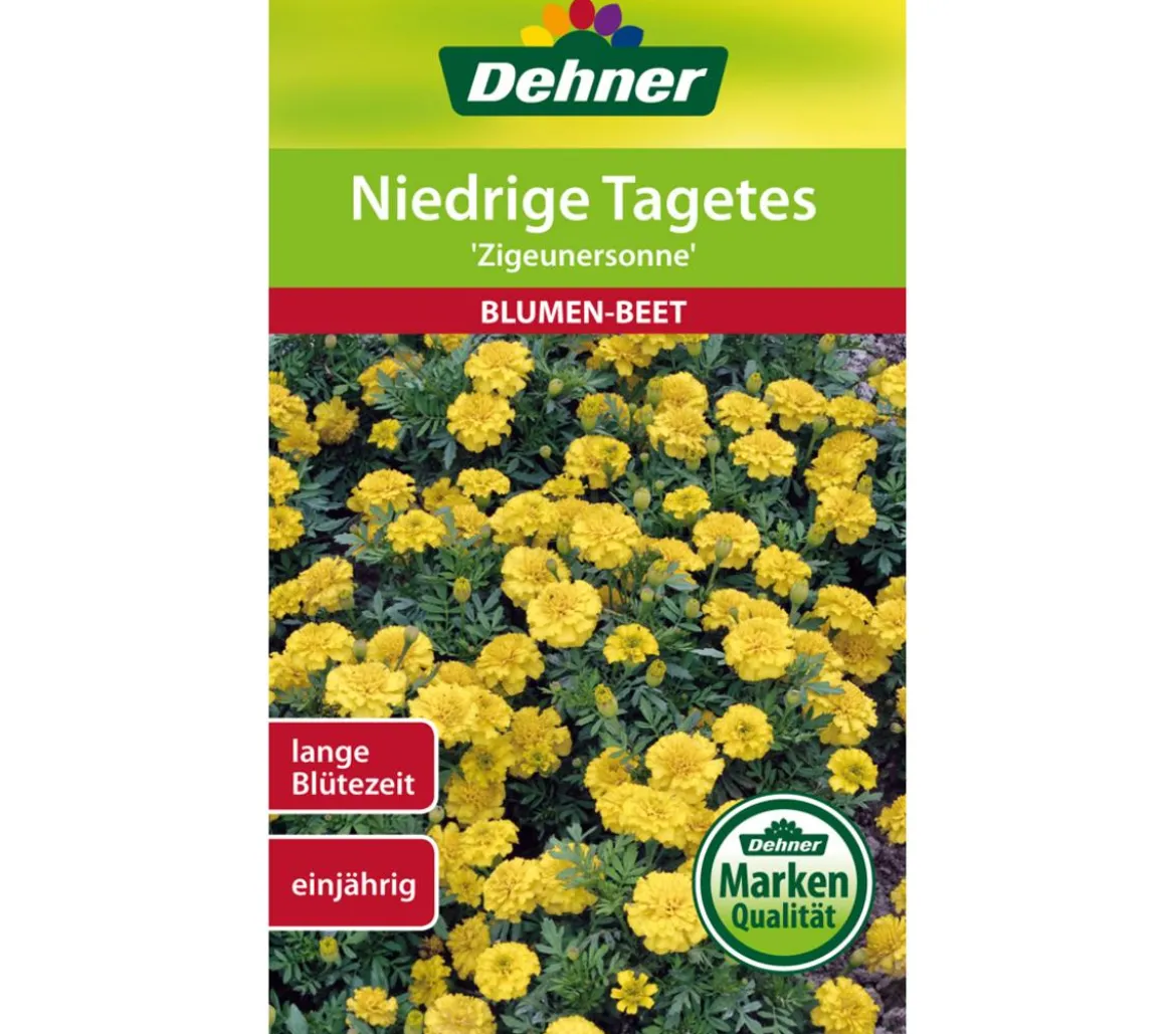 Dehner Samen für Niedrige Tagetes 'Zigeunersonne'