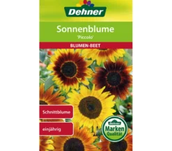 Dehner Samen für Sonnenblume 'Piccolo'
