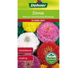 Dehner Samen für Zinnie 'Dehners riesenblumige Mischung'