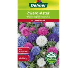 Dehner Samen für Zwerg-Aster 'Blütenteppich-Mischung'