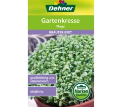 Dehner Samen Gartenkresse 'Mega'