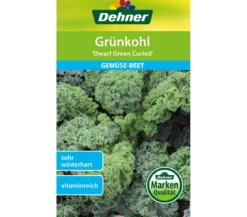 Dehner Samen Grünkohl 'Dwarf Green Curled'