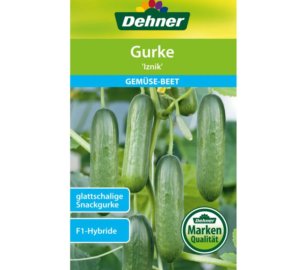 Dehner Samen Gurke 'Iznik'