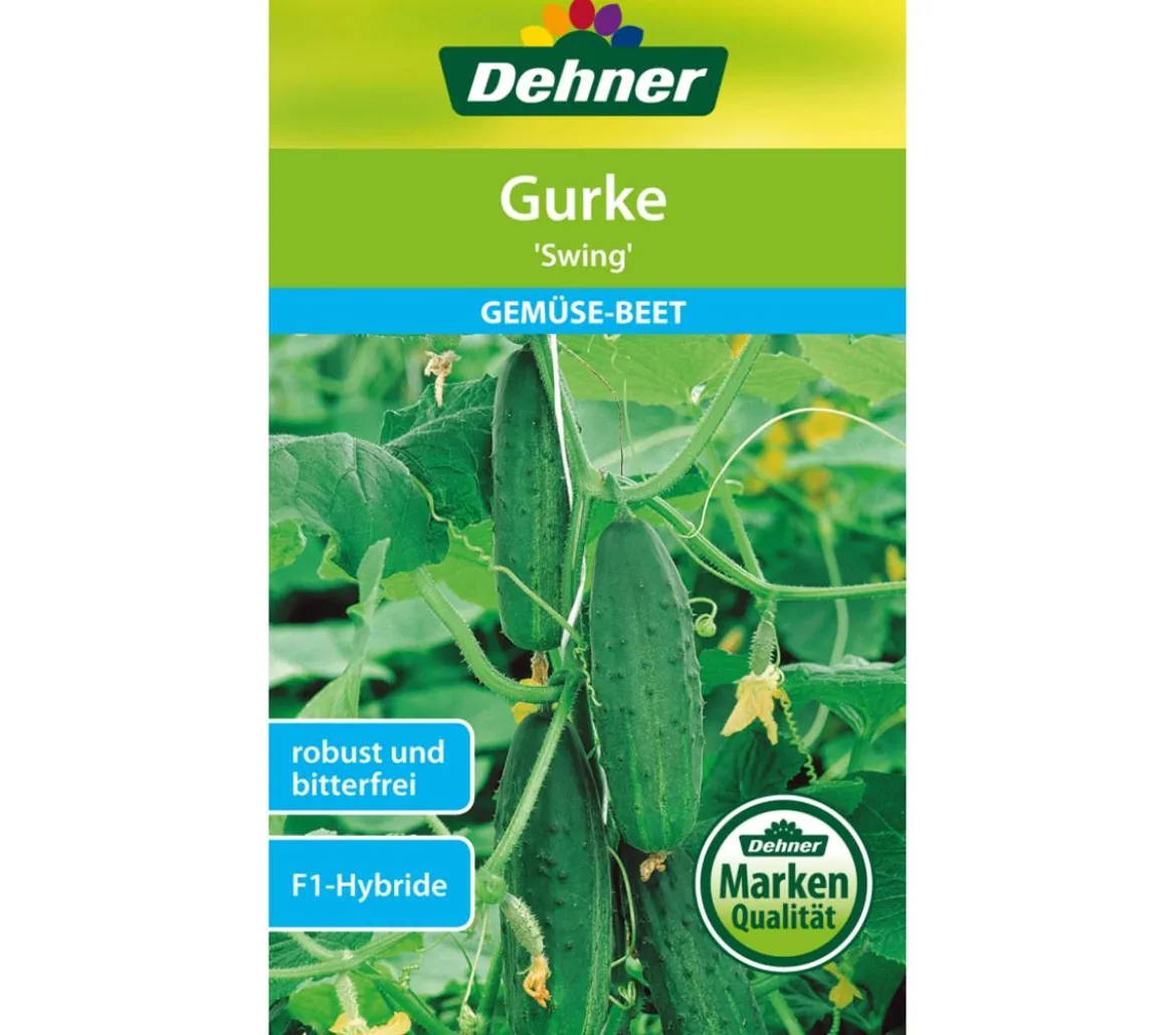 Dehner Samen Gurke 'Swing'
