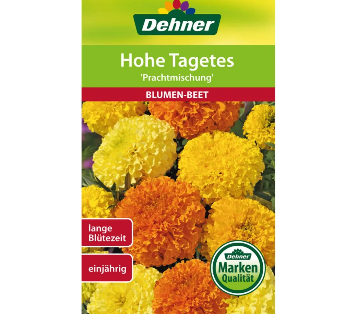 Dehner Samen Hohe Tagetes 'Prachtmischung'