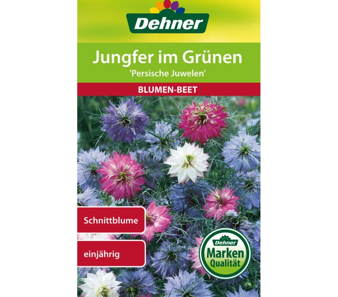 Dehner Samen Jungfer im Grünen 'Persische Juwelen'