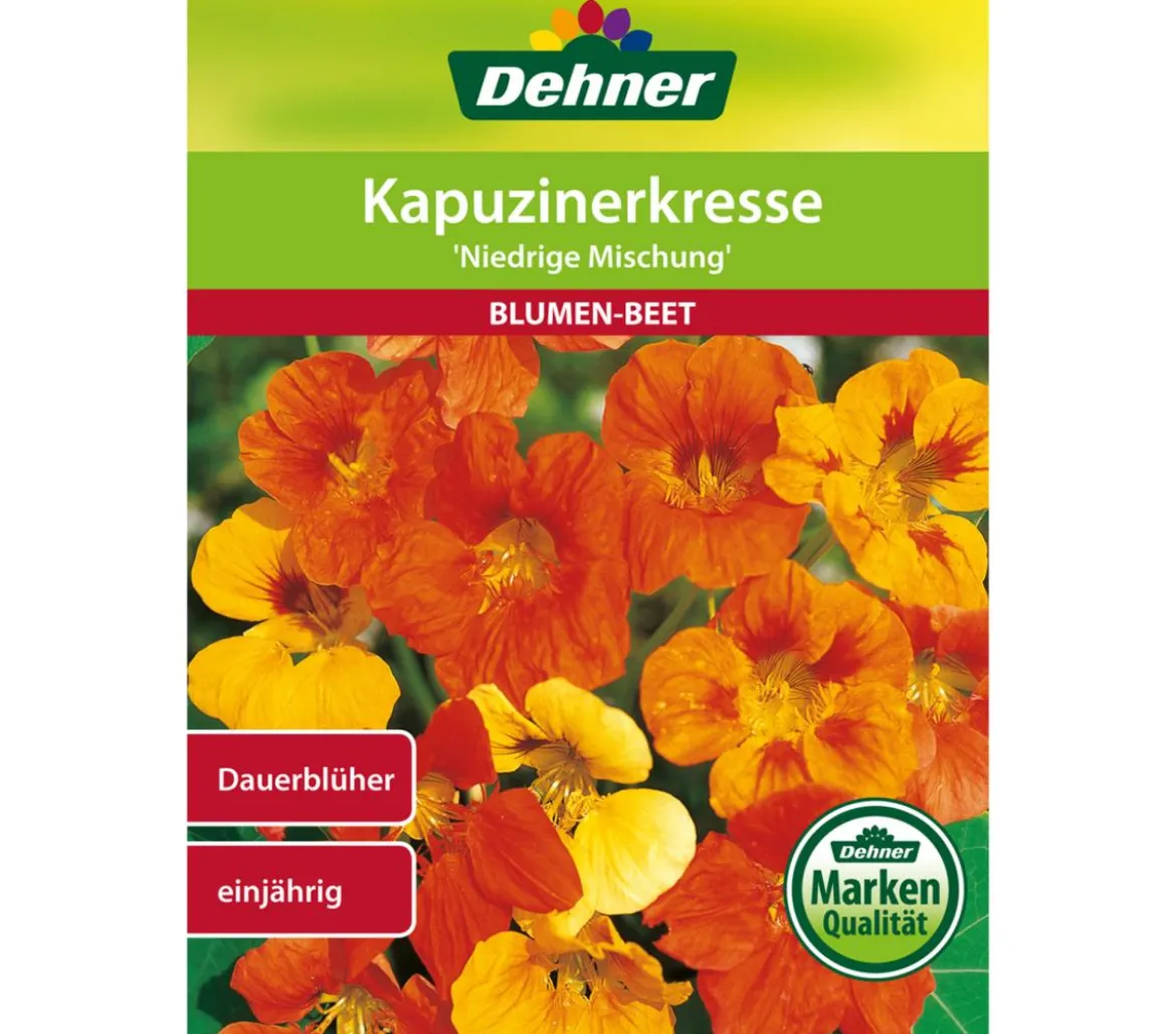 Dehner Samen Kapuzinerkresse 'Niedrige Mischung'