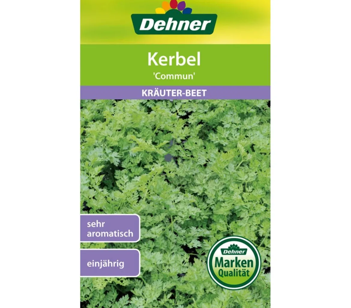 Dehner Samen Kerbel 'Commun'