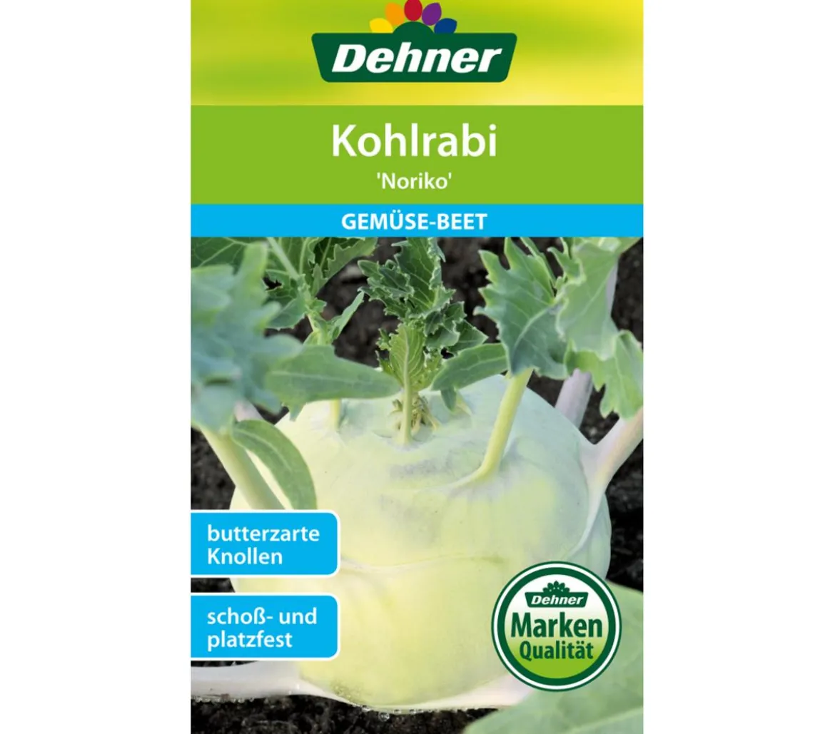 Dehner Samen Kohlrabi 'Noriko'