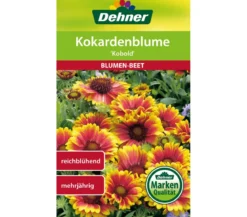 Dehner Samen Kokardenblume 'Kobold'