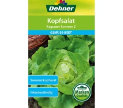 Dehner Samen Kopfsalat 'Kagraner Sommer 2'